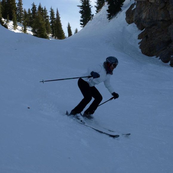 Meet your Posher, Sylvia - Picture 1 of 1